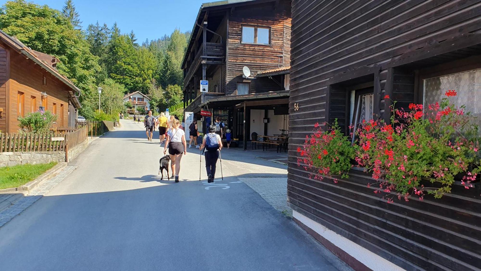 Hotel Waldhaus Bodenmais Eksteriør bilde